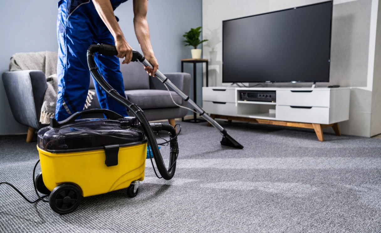 Extract Curtain Cleaning Hoddles Creek Contact Office